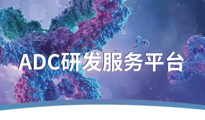 一文读懂：抗体偶联药物（ADC）