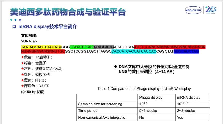 FG电子多肽药物合成与验证平台.webp