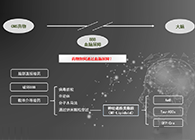 人工合成NT类脂质开放血脑屏障，为CNS药物打开新局面